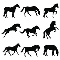 stock vector set horses silhouettes collection isolated on white