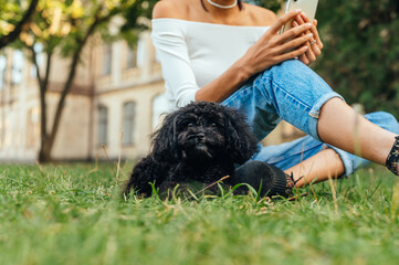 Close photo of a black beautiful dog sitting on the lawn with the owner and looking at the camera....
