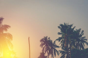Obraz na płótnie Canvas silhouette vintage coconut tree on sunset sky background