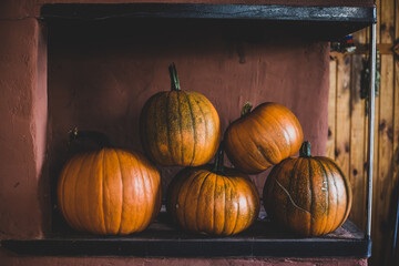 pumpkins