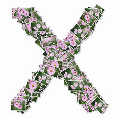 花の写真でアルファベットの小文字