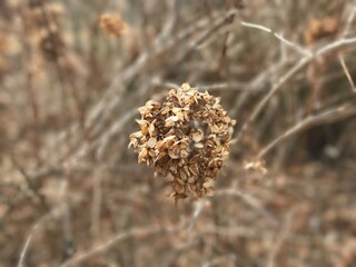 close up of needles