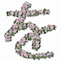 花の写真でひらがな