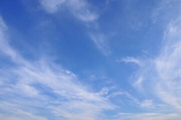 Obraz premium 青空と白い雲