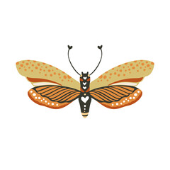 Boho vector art design with bohemian butterfly. Isolated insect icon, hand drawn illustration on a white background.