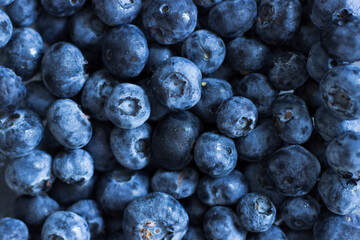 Close up of blueberries; full frame