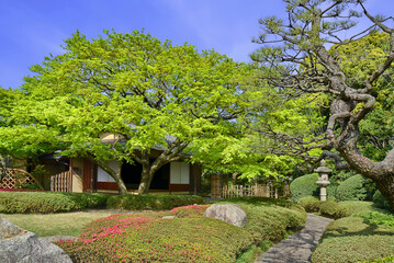 Shofuen garden, Fukuoka city, Japan. Site of Shofuso, the residence of renowned Fukuoka Tamaya department store founder and Kyushu pottery collector Zenpachi Tanakamaru.