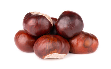 Horse chestnuts fruits, isolated on white background. Aesculus hippocastanum.