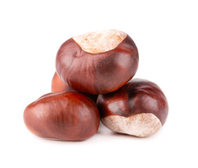Horse chestnuts fruits, isolated on white background. Aesculus hippocastanum.