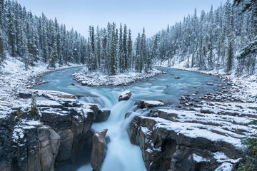 First snow Morning in Jasper National Park Alberta Canada Snow-covered winter landscape in the...