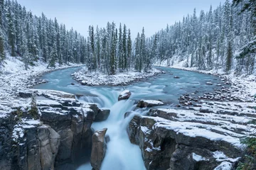 Papier Peint photo Lavable Canada First snow Morning in Jasper National Park Alberta Canada Snow-covered winter landscape in the Sunwapta Falls on Athabasca river. Beautiful background photo. Start ski season.
