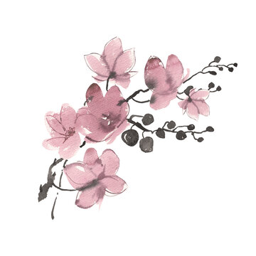 Illustration of orchid flowers drawn on paper paints