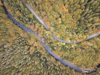 Aerial view of the autumn forest and small stream.
Way along the river in the mountains covered with green and colorful forest, top view. Sunny day.
Picture from the air.