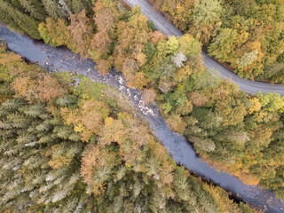 Aerial view of the autumn forest and small stream.
Way along the river in the mountains covered with green and colorful forest, top view. Sunny day.
Picture from the air.