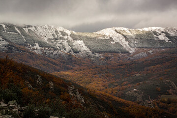 Autumn landscape of snow and forest in the Sierra del Rincón. Sierra norte in the community of Madrid, Spain.