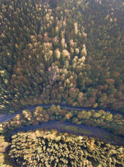 Aerial view of the autumn forest and small stream.
Way along the river in the mountains covered with green and colorful forest, top view. Sunny day.
Picture from the air.