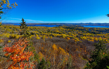 An autumn walk in the Canadian forest in Quebec