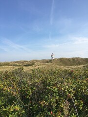 Fototapeta na wymiar Dünen und der Wasserturm auf der Nordseeinsel Langeoog