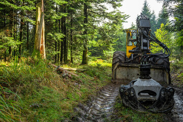 Fototapeta na wymiar A heavy tree-felling machine in the Black Forest that has left deep marks in the mud