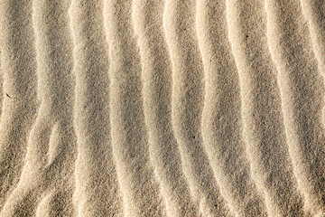 Sand dunes in the Sahara desert