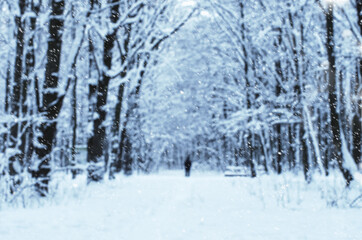 Winter snow covered trees blurred background