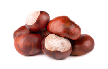 Horse chestnuts fruits, isolated on white background. Aesculus hippocastanum.