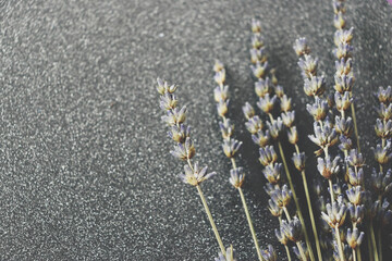 Sparkly background decorated with lavender