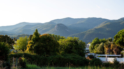 Fototapeta na wymiar Green nature with mountains on background in Asprovalta
