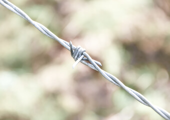 Barbed wire - close-up view barbed wire against a blurred nature