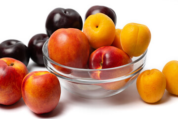 nectarine, peach and plum on a white background