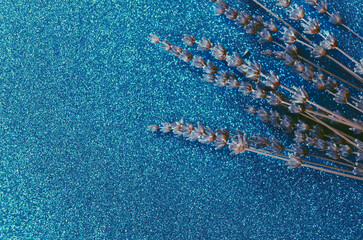 Sparkly background decorated with lavender