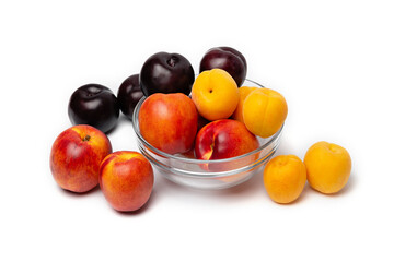 nectarine, peach and plum on a white background