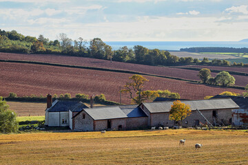 Farmland and house in Devon