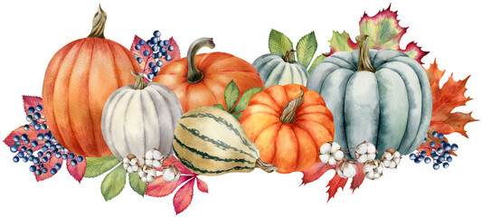 Watercolor illustration with pumpkins and leaves isolated on the white background.Hand painted watercolor clipart.