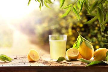 Fototapeta Freshly squeezed juice on wooden table with lemons in nature obraz