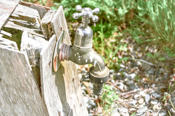 Old garden tap in a green garden in summer, macro close up with copy space