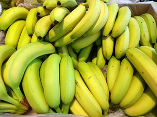 Banane