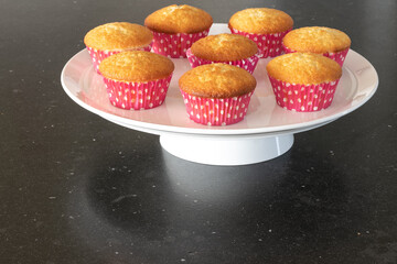 Views from the top of a hill in Brazil, rainforest