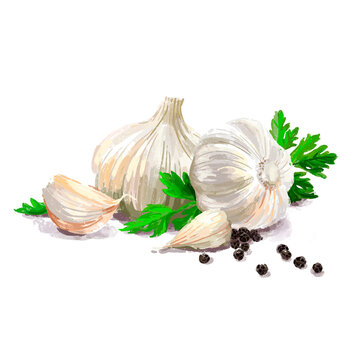 Vegetable set. Mushrooms, garlic, parsley, blob. Harvest and Thanksgiving fruit of nature, food collection for restaurants, menus, posters and grocery bags. Graphics and color