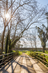 Nacional Woods of Choupal, Coimbra