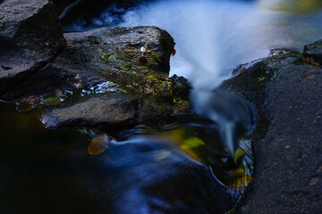 Fototapeta premium Fallen leaves on the stream in autumn