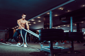 Fototapeta na wymiar Fitness man working out with battle ropes at gym.