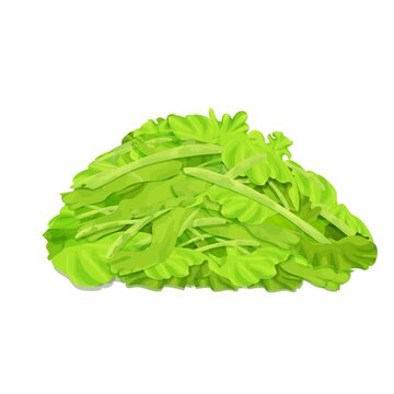 Bright, Fresh Lettuce, Chopped In Small Pieces, Stack Of Salad Isolated On White Background. Pile Of Ingredient, Organic Food. . Vector Illustration