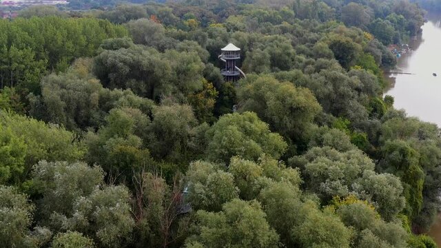 Canopy walkway in Mako city Hungary. Next to Maros river. built to showcase floodplain environment and wildlife