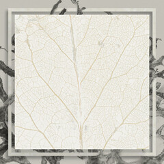 Abstract background illustration of grey moss with white leaf veins silhouette square copy space in the center