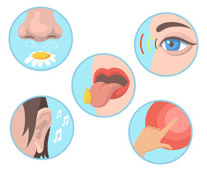 Five senses set. Smelling, tasting, touching, vision, hearing illustrations with nose, eye, tongue, ear and hand. Vector illustrations collection for human organs, sensations, anatomy concept