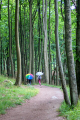 Wanderer mit Regenschirmen