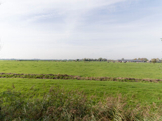 A meadow in Abcoude, The Netherlands