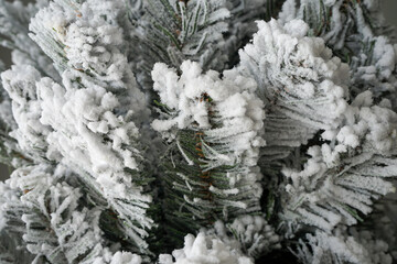 abstract background of snow-covered branches of a Christmas tree
