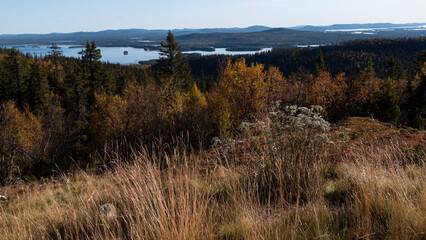 View above Arjeplog in September